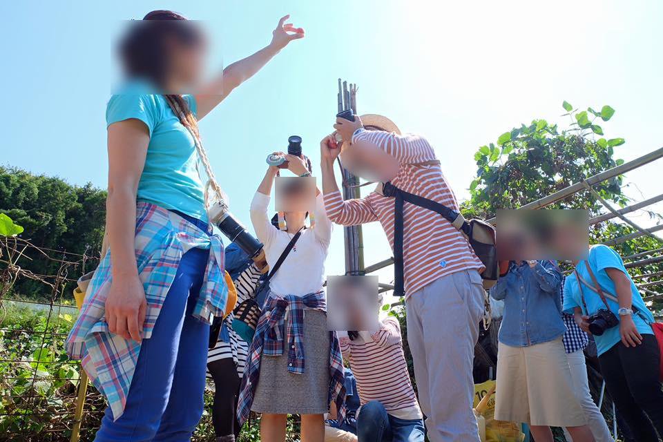 (よそから勝手に写真を持ってきました)
淡い色の、青とか緑に飛んだ写真が好きそうなカメラ女子にありそうな風景。
・ボーダー好き
・チェックも好き
・お空に指ポーズ
フラーっと見てて、あるあるwすぎて思わずツイート。 http://t.co/bzUJpw13mi