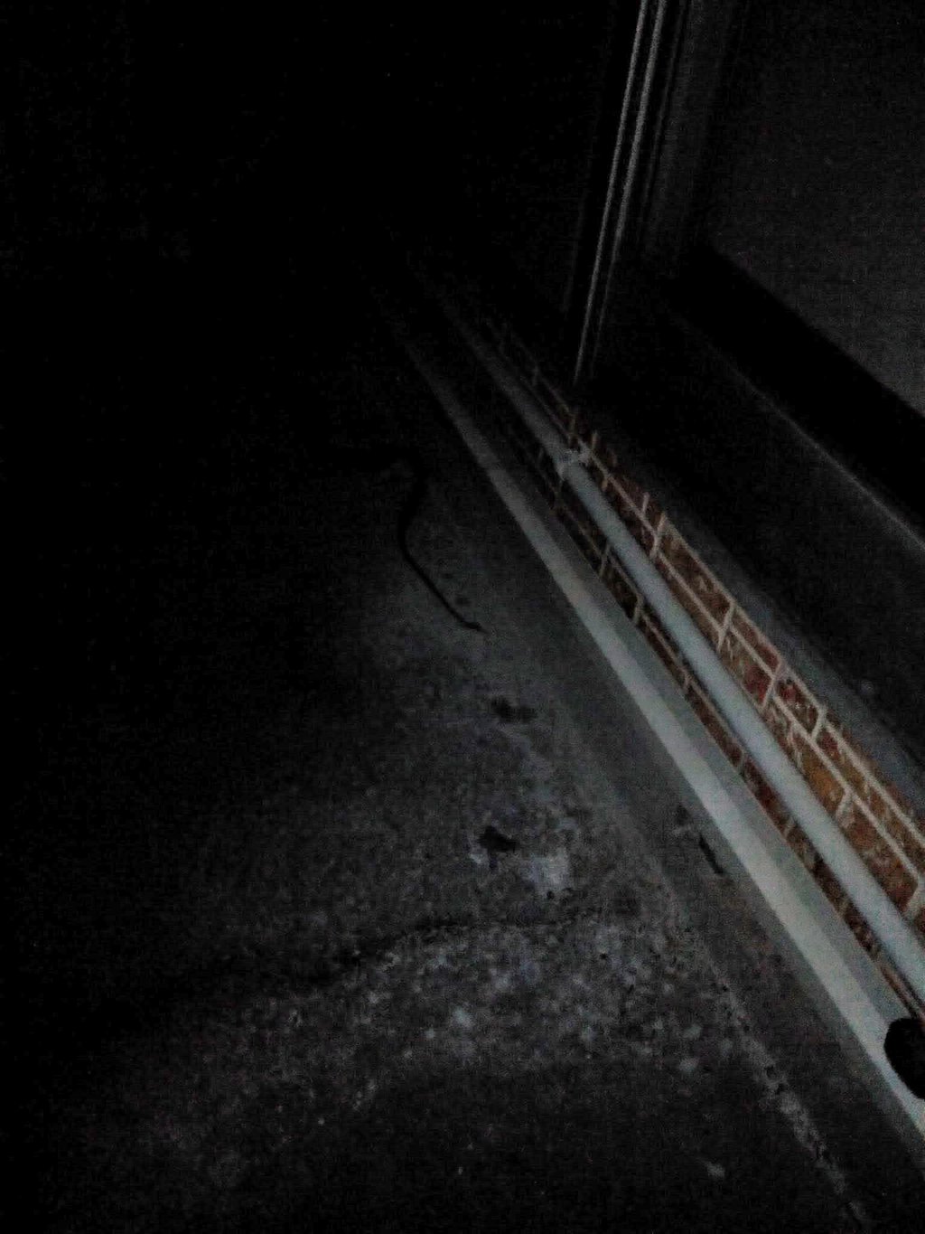 ムカデ、G、ヤスデ、蜘蛛、ヤモリと色々出てくる我が家なんですが…
ついに蛇まで出たｗ

写真がすんごい分かりにくいんやけど…
中央の紐みたいなのが、逃げてく蛇。

何が落ちてんのかなーと思って、
近づいてみたらヽ(ﾟДﾟ; )ﾉ http://t.co/ndbYsvf2Vd