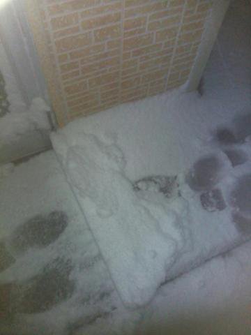 確かに雪マークやったけど(＠_＠;)
一気に白銀の世界。 https://t.co/KVVZjIgyUH